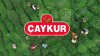 ÇAYKUR YAŞ ÇAY ALIMINI 1 GÜNLÜĞÜNE DURDURDU