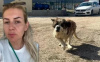 HASTALIK TAŞIYAN KÖPEKLERİ ANKARA'YA GETİREN 2 SANIK HAKKINDA KARAR AÇIKLANDI