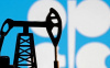 BAE, 1 MAYIS İTİBARIYLA OPEC VE OPEC+ ÜYELİKLERİNDEN AYRILACAK