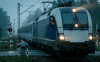 POLONYA'DA MAKİNİSTLERİN PROTESTOSU NEDENİYLE TREN SEFERLERİ AKSADI