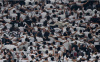 TRABZONSPOR-BEŞİKTAŞ MAÇI ÖNCESİ DEPLASMAN YASAĞI KALDIRILDI