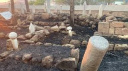 ÇANAKKALE'DEKİ ORMAN YANGININDA TARİHİ MEZARLAR ZARAR GÖRDÜ