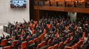 ZEYTİNLİK TEKLİFİ MECLİS'TE: 7 MADDE DAHA KABUL EDİLDİ