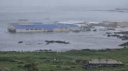 KAMÇATKA'DAKİ DEPREMİN ARDINDAN SEVERO-KURILSK KENTİNİN BİR KISMI SULAR ALTINDA KALDI