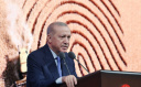 ERDOĞAN, DÜNYA ÇİFTÇİLER GÜNÜ PROGRAMI'NDA KONUŞTU