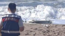 KARADENİZ'DE PLAJDA SİLAHLI İNSANSIZ HAVA ARACI BULUNDU