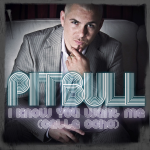 Pitbull - I Know You Want Me