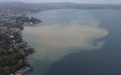 İSTANBUL BOĞAZI'NIN KIYI KESİMLERİ KAHVERENGİYE DÖNDÜ