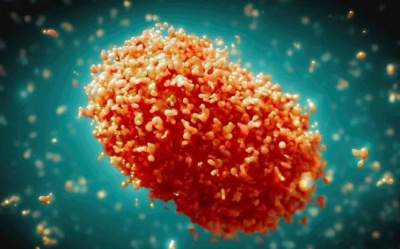 DSÖ'DEN M ÇİÇEĞİ VİRÜSÜ UYARISI