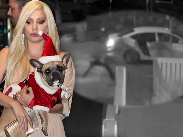 Lady Gaga'nın köpekleri gizemli bir kadın tarafından geri getirildi.