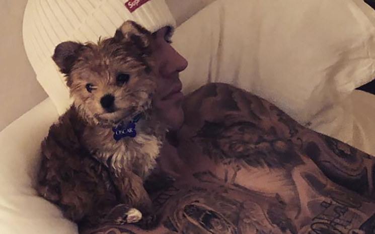 Justin Bieber'in evine yeni bir konuk