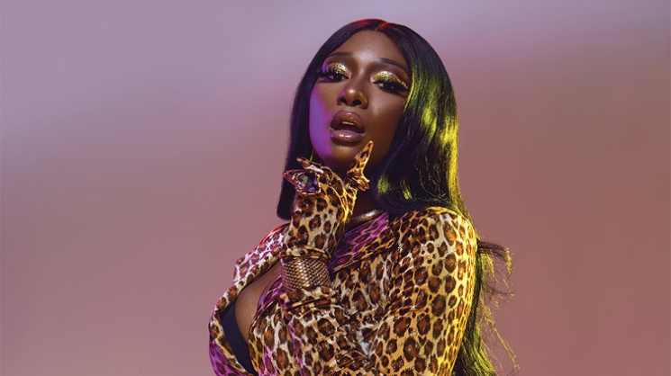 Megan Thee Stallion'dan açıklama geldi.