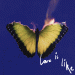 Maroon 5 ft. Lil Wayne - Love is Like