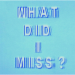 Drake - What Did I Miss?