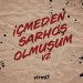 yirmi7 - İçmeden Sarhoş Olmuşum v2
